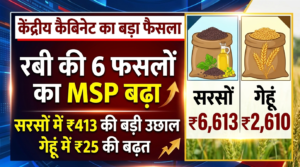 रबी फसलों के नए MSP को मिली मंजूरी, सरसों में ₹413 की बड़ी बढ़त, गेहूं पर सिर्फ ₹25 बढ़े
